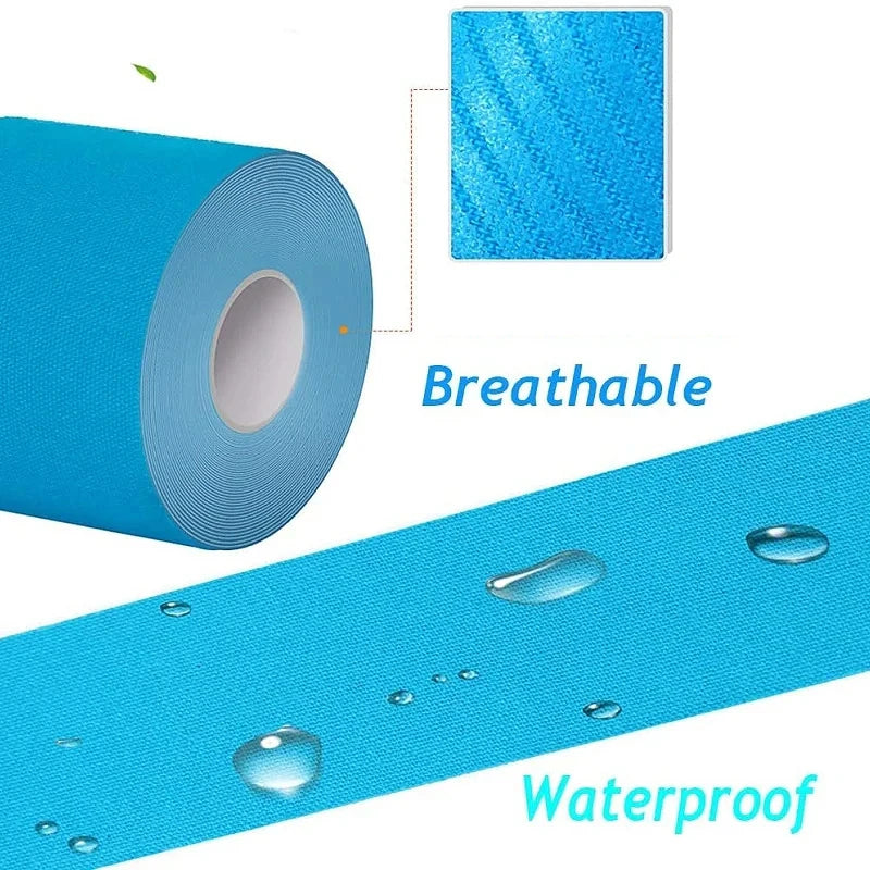 S787d9958f7a3435ebc05c20b60292229v