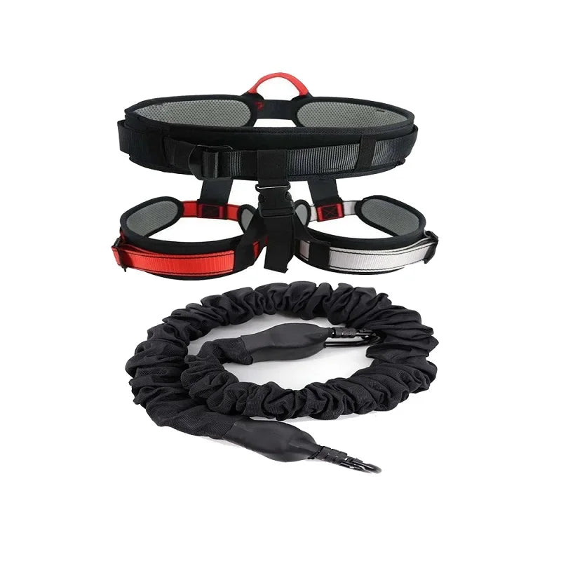 Se1aa1b43e1a74a6b819f18a21abb79f1p