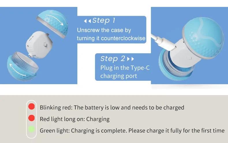 Pet Electric Dog Ball - Semoor Make Me Fit