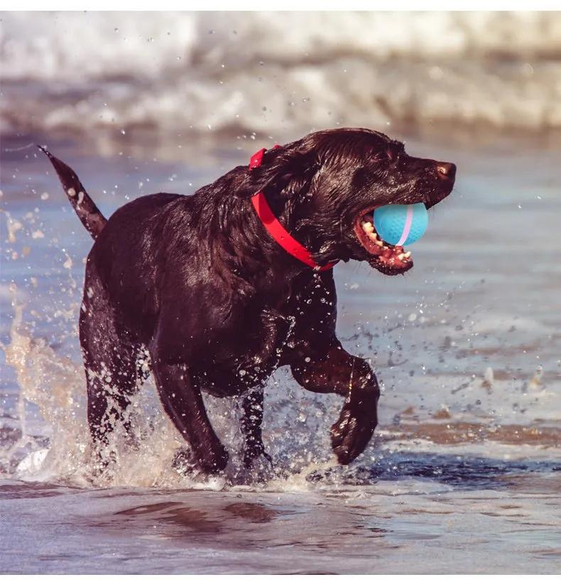 Pet Electric Dog Ball - Semoor Make Me Fit