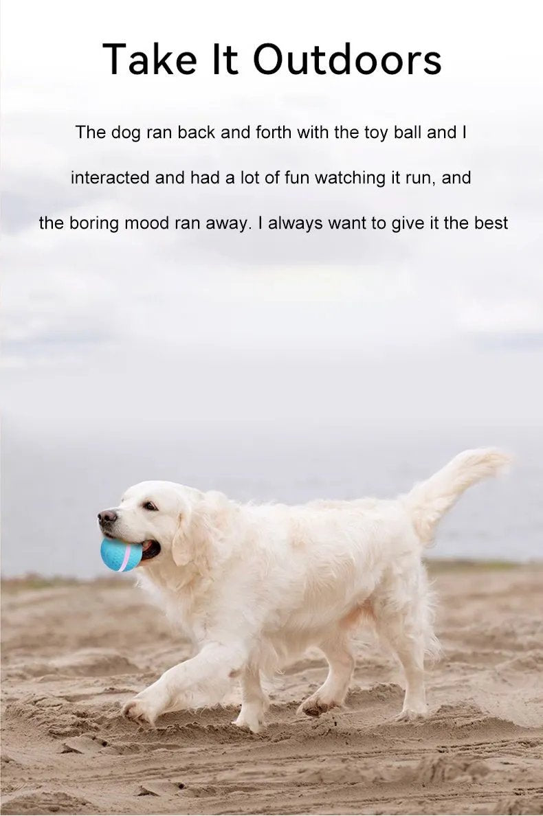 Pet Electric Dog Ball - Semoor Make Me Fit