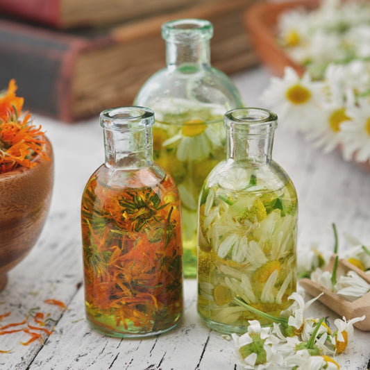 🌼 Jamaican Marigold (Mary Goules) – Healing, Vibrant, Versatile