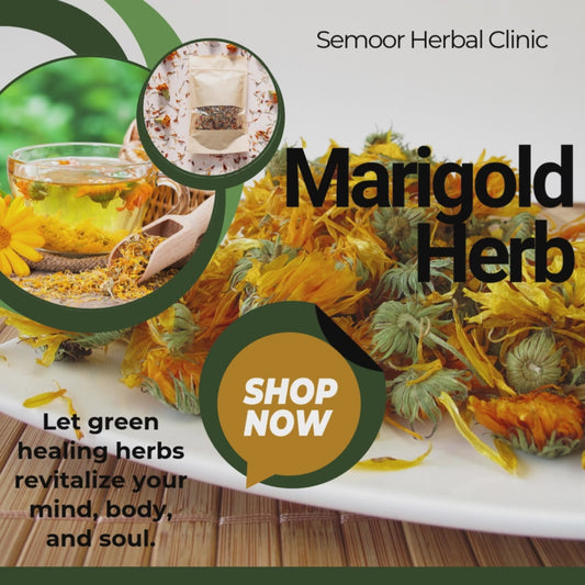 🌼 Jamaican Marigold (Mary Goules) – Healing, Vibrant, Versatile