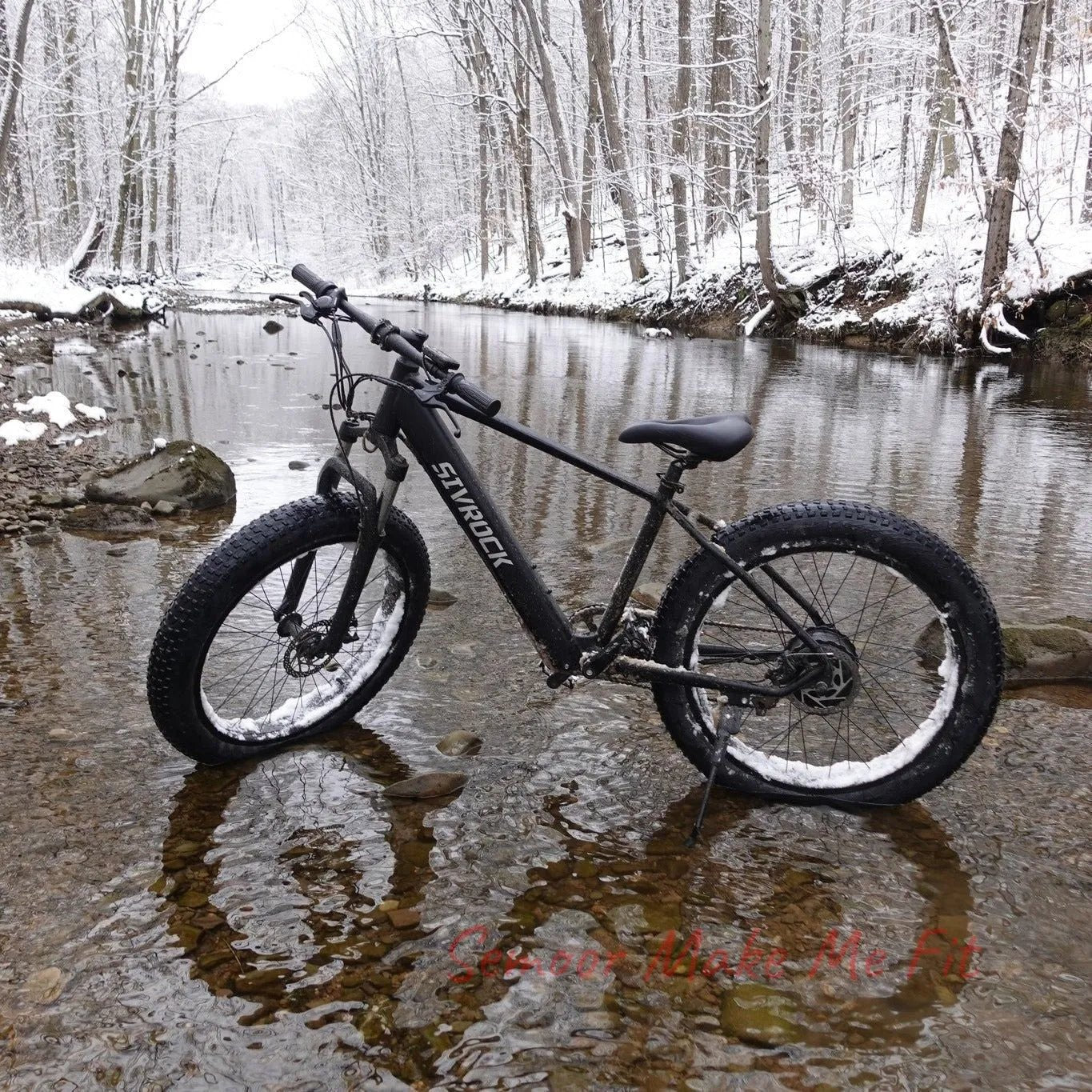 Professional Electric Bike For Adults, 26 X 4.0 Inches Fat Tire Electric Mountain Bicycle, 1000W Motor 48V 15Ah Ebike For Trail Riding, Excursion And Commute, UL And GCC Certified - Semoor Make Me Fit
