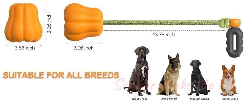 PROKEl Dog Rope Fetch Exercise ToyforMedium Large Aggressive Chewers BreedDogsChew Interactive Toys Training Tug Of WarBallsindoor And Outdoor Halloween Dogtoyorange Plain Indestructible Dogtoy Super - Semoor Make Me Fit